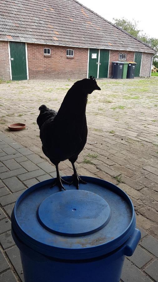 Апартаменты Logeerruimte In Gerenoveerde Boerderij In Wachtum Экстерьер фото