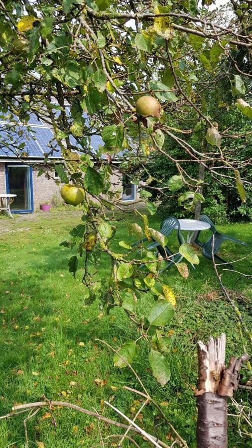 Апартаменты Logeerruimte In Gerenoveerde Boerderij In Wachtum Экстерьер фото
